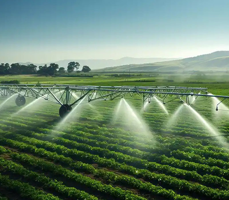 The Community Irrigation Hope Project - North Central Nigeria